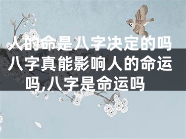 人的命是八字决定的吗八字真能影响人的命运吗,八字是命运吗