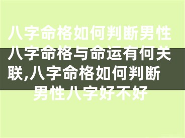八字命格如何判断男性八字命格与命运有何关联,八字命格如何判断男性八字好不好