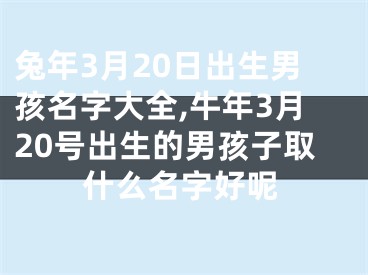 兔年3月20日出生男孩名字大全,牛年3月20号出生的男孩子取什么名字好呢