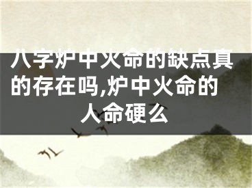 八字炉中火命的缺点真的存在吗,炉中火命的人命硬么