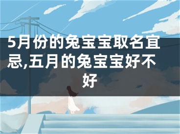 5月份的兔宝宝取名宜忌,五月的兔宝宝好不好