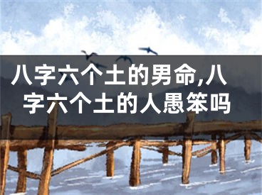 八字六个土的男命,八字六个土的人愚笨吗