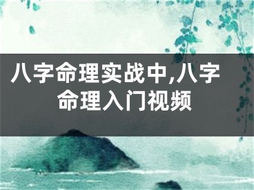 八字命理实战中,八字命理入门视频