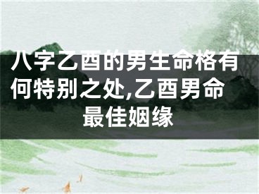 八字乙酉的男生命格有何特别之处,乙酉男命最佳姻缘