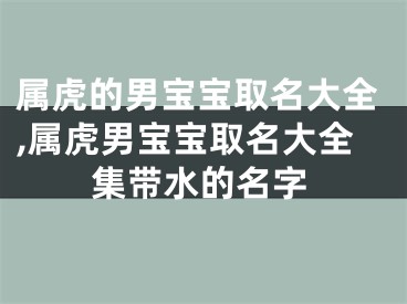 属虎的男宝宝取名大全,属虎男宝宝取名大全集带水的名字