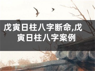 戊寅日柱八字断命,戊寅日柱八字案例