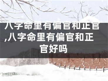 八字命里有偏官和正官,八字命里有偏官和正官好吗