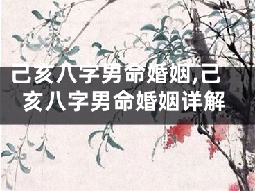 己亥八字男命婚姻,己亥八字男命婚姻详解