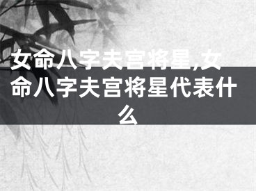 女命八字夫宫将星,女命八字夫宫将星代表什么