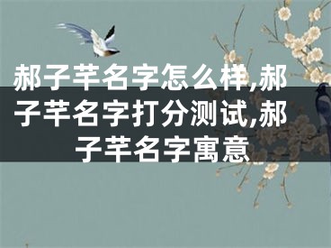 郝子芊名字怎么样,郝子芊名字打分测试,郝子芊名字寓意