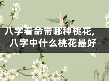 八字看命带哪种桃花,八字中什么桃花最好