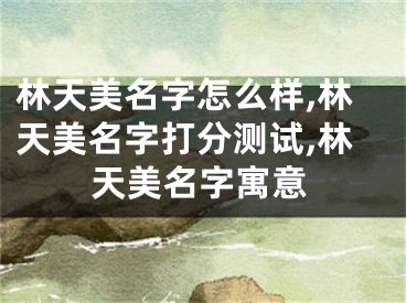 林天美名字怎么样,林天美名字打分测试,林天美名字寓意
