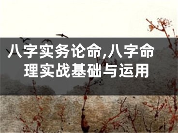 八字实务论命,八字命理实战基础与运用