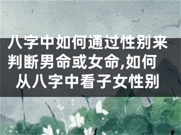 八字中如何通过性别来判断男命或女命,如何从八字中看子女性别