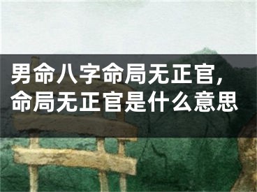 男命八字命局无正官,命局无正官是什么意思
