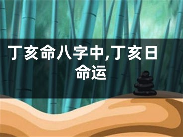 丁亥命八字中,丁亥日命运