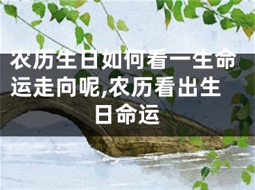 农历生日如何看一生命运走向呢,农历看出生日命运