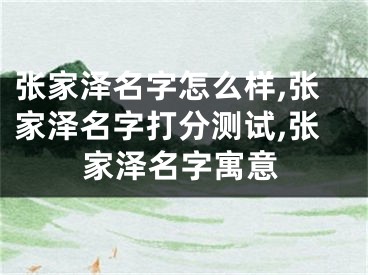张家泽名字怎么样,张家泽名字打分测试,张家泽名字寓意