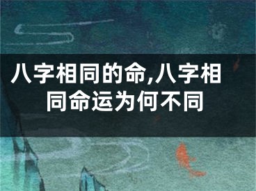 八字相同的命,八字相同命运为何不同