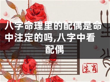 八字命理里的配偶是命中注定的吗,八字中看配偶