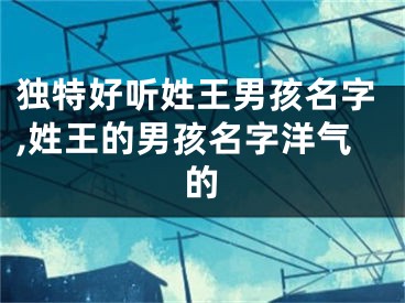 独特好听姓王男孩名字,姓王的男孩名字洋气的