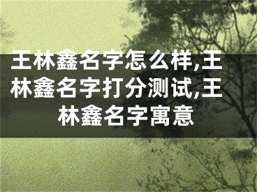 王林鑫名字怎么样,王林鑫名字打分测试,王林鑫名字寓意