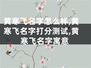 黄寒飞名字怎么样,黄寒飞名字打分测试,黄寒飞名字寓意