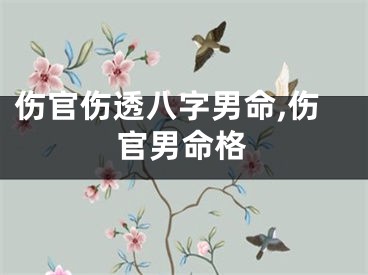 伤官伤透八字男命,伤官男命格