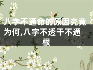 八字不通命的原因究竟为何,八字不透干不通根