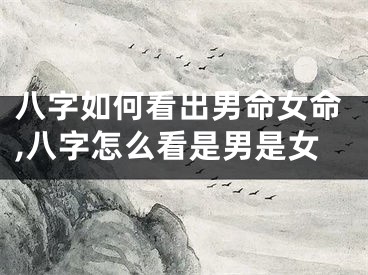 八字如何看出男命女命,八字怎么看是男是女