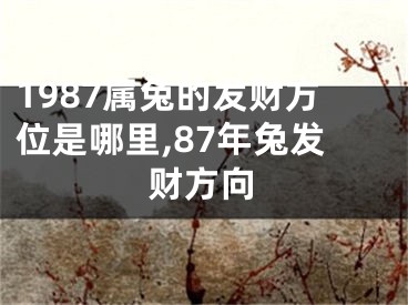 1987属兔的发财方位是哪里,87年兔发财方向