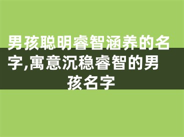 男孩聪明睿智涵养的名字,寓意沉稳睿智的男孩名字