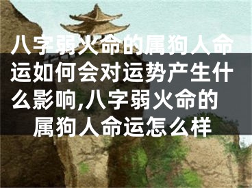 八字弱火命的属狗人命运如何会对运势产生什么影响,八字弱火命的属狗人命运怎么样