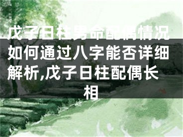 戊子日柱男命配偶情况如何通过八字能否详细解析,戊子日柱配偶长相
