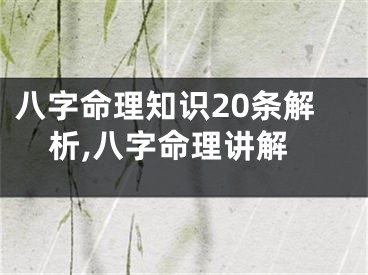 八字命理知识20条解析,八字命理讲解