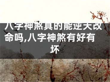 八字神煞真的能逆天改命吗,八字神煞有好有坏
