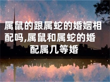 属鼠的跟属蛇的婚姻相配吗,属鼠和属蛇的婚配属几等婚
