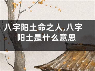 八字阳土命之人,八字阳土是什么意思