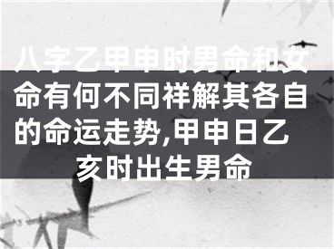 八字乙甲申时男命和女命有何不同祥解其各自的命运走势,甲申日乙亥时出生男命