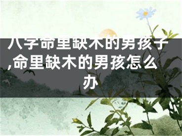 八字命里缺木的男孩子,命里缺木的男孩怎么办