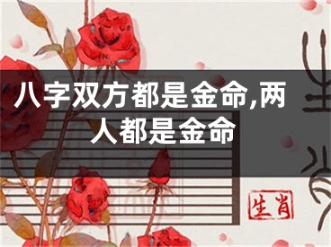 八字双方都是金命,两人都是金命
