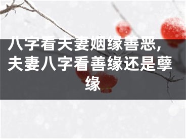 八字看夫妻姻缘善恶,夫妻八字看善缘还是孽缘