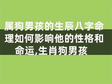 属狗男孩的生辰八字命理如何影响他的性格和命运,生肖狗男孩
