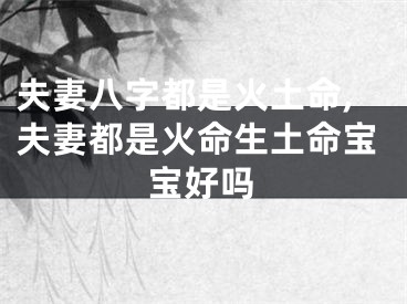 夫妻八字都是火土命,夫妻都是火命生土命宝宝好吗