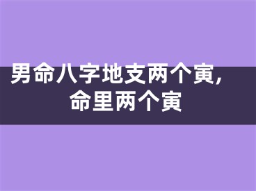 男命八字地支两个寅,命里两个寅