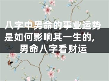 八字中男命的事业运势是如何影响其一生的,男命八字看财运