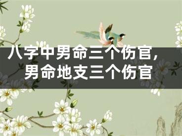 八字中男命三个伤官,男命地支三个伤官