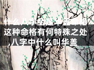 什么八字全是华盖命格这种命格有何特殊之处,八字中什么叫华盖