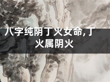 八字纯阴丁火女命,丁火属阴火