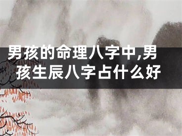 男孩的命理八字中,男孩生辰八字占什么好